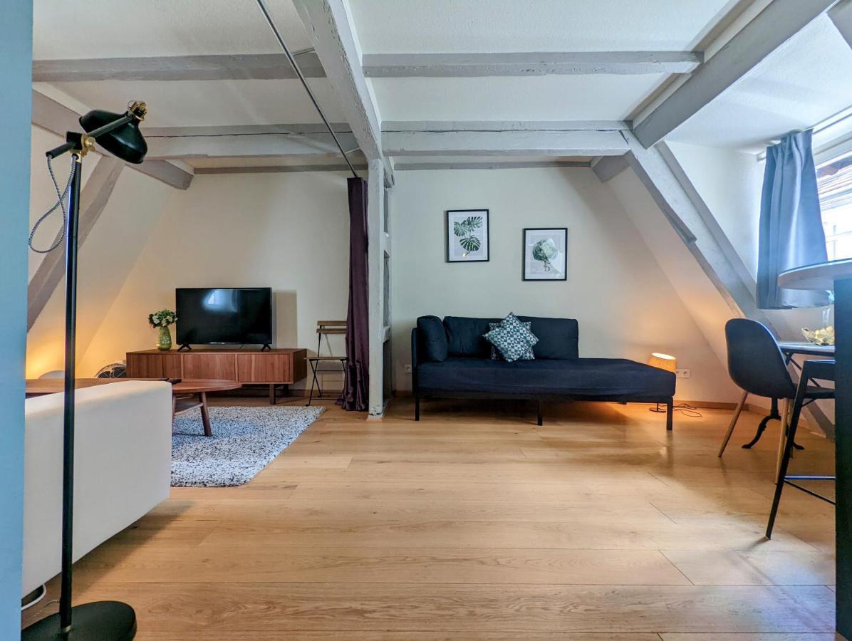 Citycosy Strasbourg - Authentique Batelier المظهر الخارجي الصورة