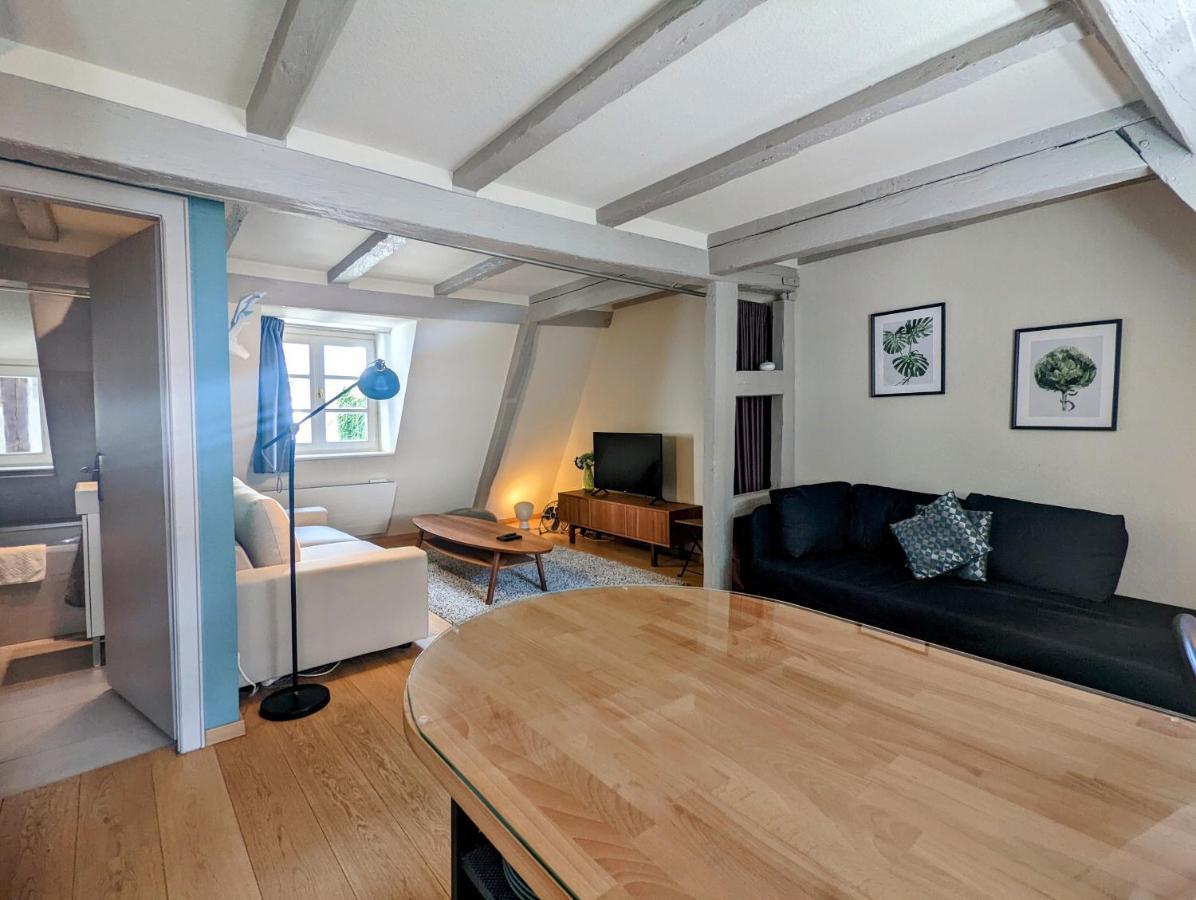 Citycosy Strasbourg - Authentique Batelier المظهر الخارجي الصورة