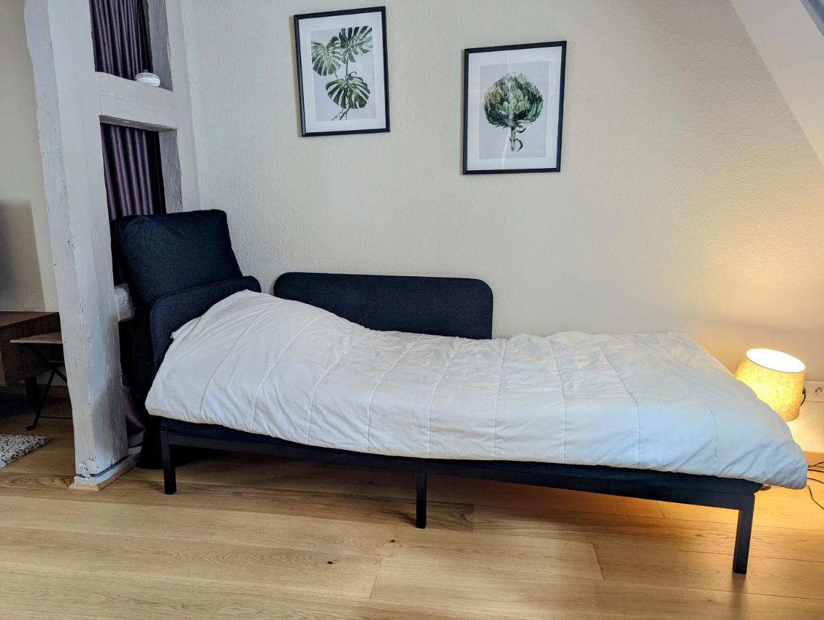 Citycosy Strasbourg - Authentique Batelier المظهر الخارجي الصورة