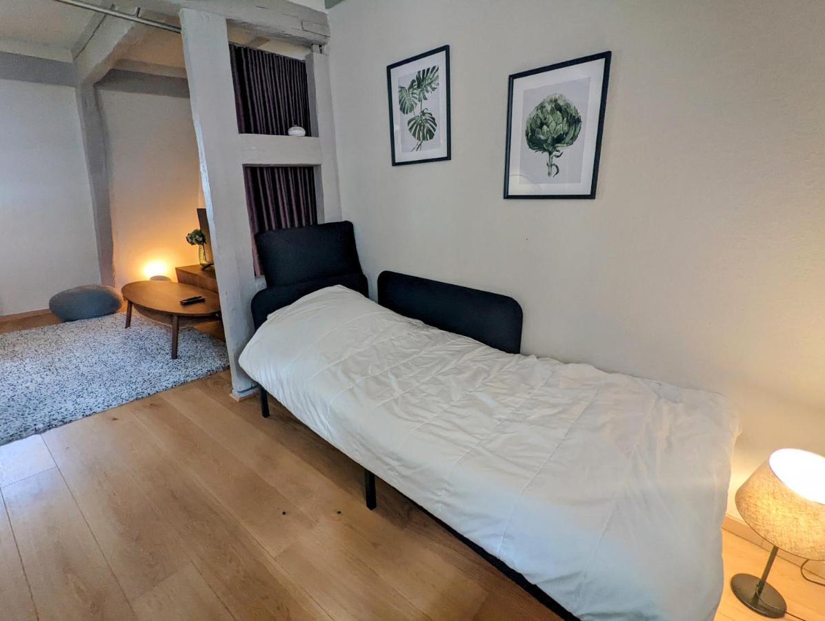 Citycosy Strasbourg - Authentique Batelier المظهر الخارجي الصورة