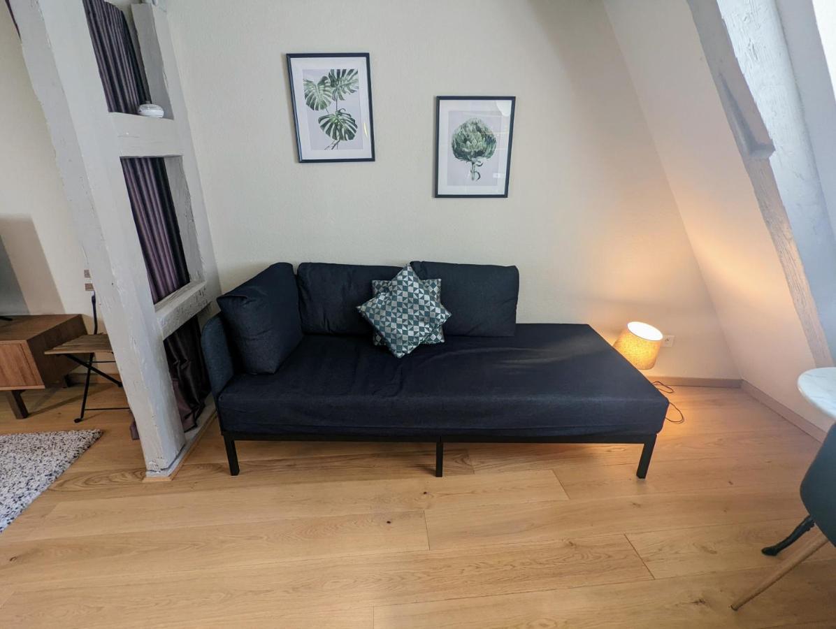 Citycosy Strasbourg - Authentique Batelier المظهر الخارجي الصورة