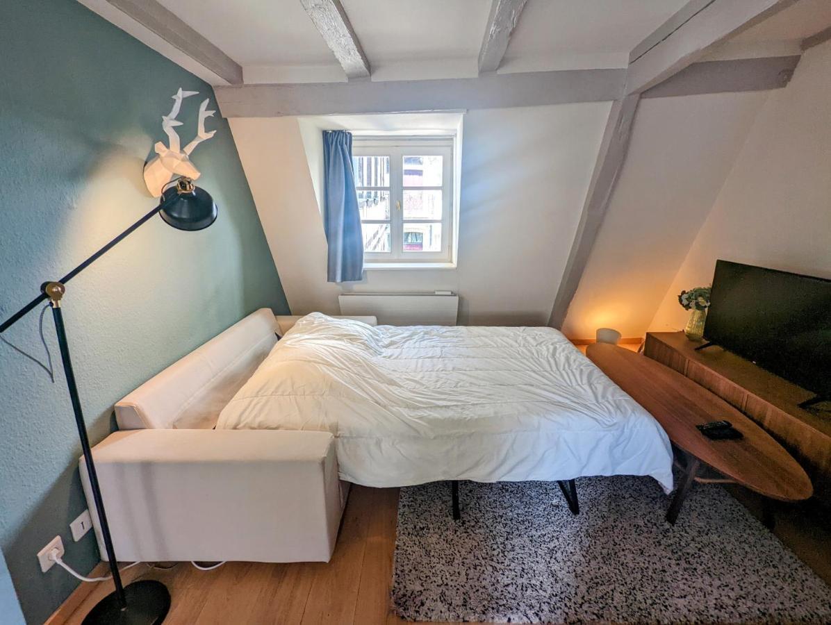 Citycosy Strasbourg - Authentique Batelier المظهر الخارجي الصورة